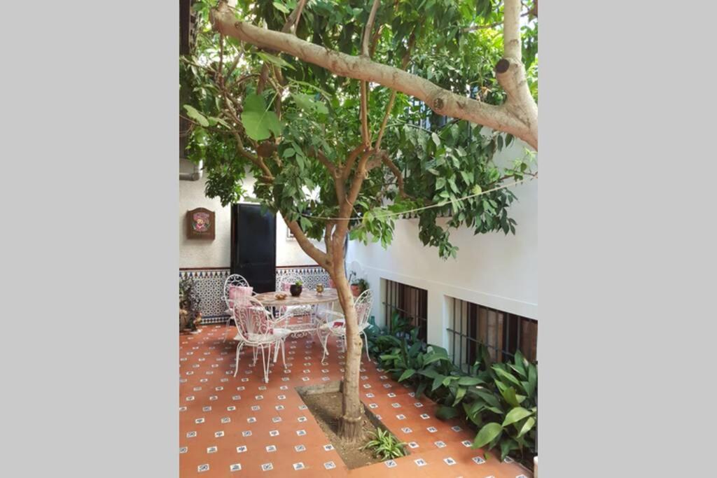 Вилла Casa En Granada Con Jardin, Facil Aparcamiento Calle Экстерьер фото